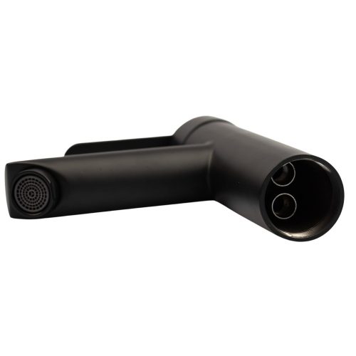 ROBINET PENTRU LAVABO AQUAMAXX BLACK, INSERȚIE CERAMICĂ, CORP ROBINET INOXIDABIL, ÎNĂLȚIME DE SCURGERE 95 MM, BRAȚ INCLINABIL,